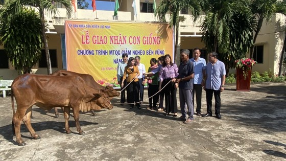 Bình Phước: Trao 196 con bò giống cho bà con nghèo dân tộc thiểu số nơi biên giới ảnh 2