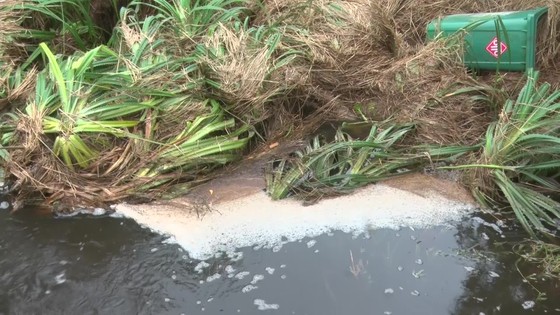 Quảng Nam: Người dân bức xúc vì nước từ bãi rác chảy ra ruộng đồng gây hôi thối ảnh 3