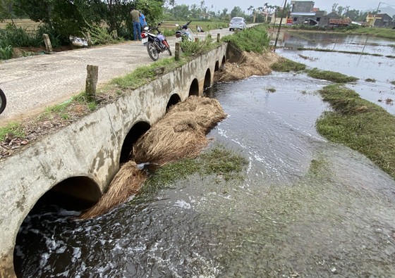 Quảng Nam: Người dân bức xúc vì nước từ bãi rác chảy ra ruộng đồng gây hôi thối ảnh 4