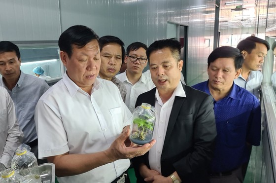 Quảng Nam sắp hình thành Trung tâm Công nghiệp dược liệu ảnh 3