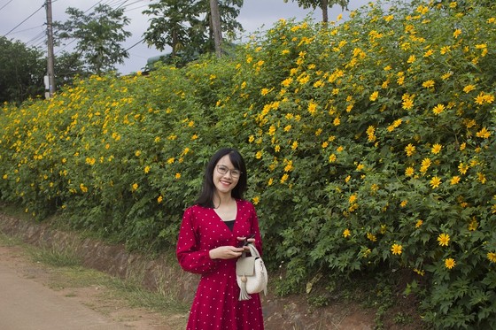 Độc đáo đường hoa dã quỳ nơi miền tây Quảng Trị ảnh 3 Độc đáo đường hoa dã quỳ nơi miền tây Quảng Trị ảnh 3
