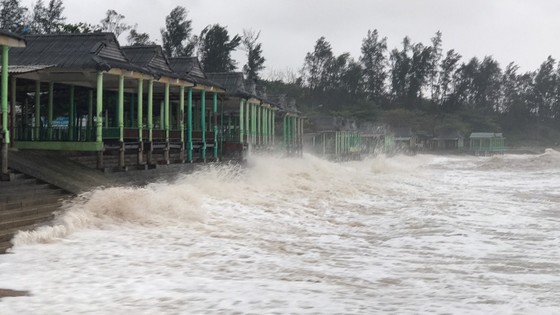 Quảng Bình mưa trắng trời, Huế cây cối ngã đổ ảnh 27