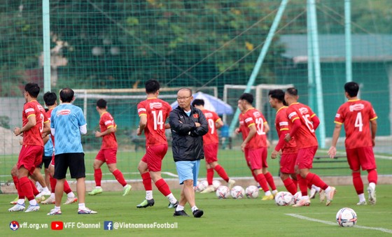 Bóng lăn mùa World Cup 2022 ảnh 2