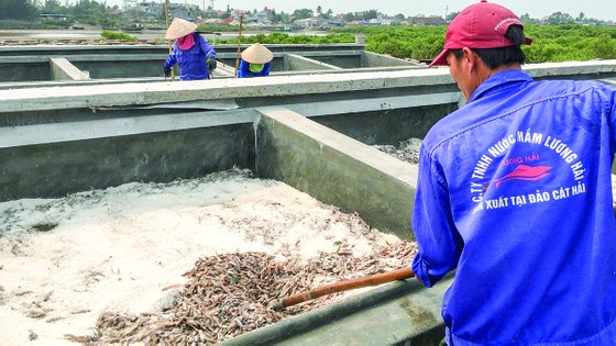 Tìm giải pháp tăng xuất khẩu nước mắm Việt ảnh 1 Tìm giải pháp tăng xuất khẩu nước mắm Việt ảnh 1