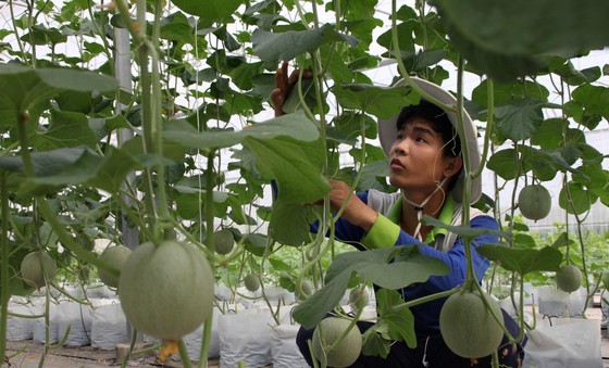 Khám phá với hơn 70 về mô hình chuyển đổi số trong nông nghiệp mới nhất   Tin học Đông Hòa