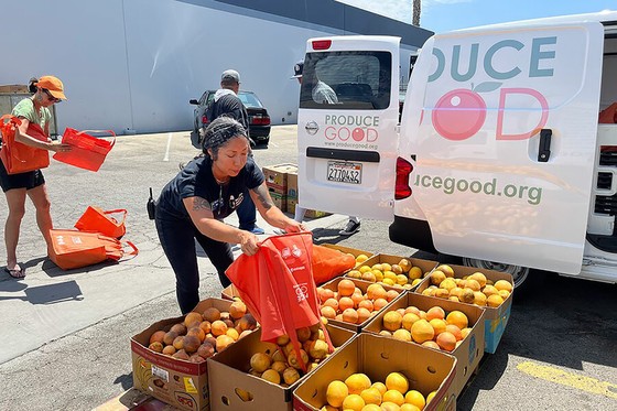 Tập kết trái cây do các tình nguyện viên của ProduceGood hái được để giúp cung cấp cho những người có thu nhập thấp Ảnh: CSM