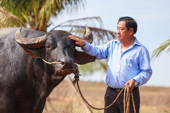 Mơ về lễ hội chọi trâu quốc tế Hớn Quản ảnh 1