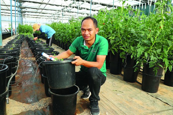 Nguyễn Đức Huy với mô hình đơn giản hóa phương pháp trồng rau thủy canh để áp dụng đại trà. Ảnh: ĐOÀN KIÊN