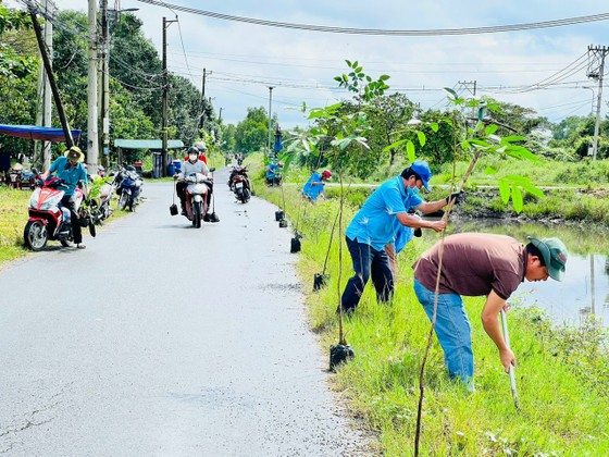 Huyện Bình Chánh ra quân trồng cây, tổng vệ sinh đón Tết Nguyên đán ảnh 2
