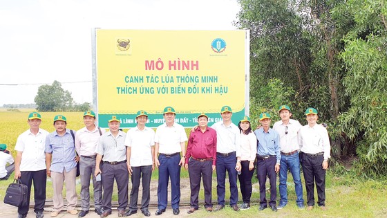 Ứng dụng công nghệ 4.0 trong sản xuất lúa ảnh 1 Ứng dụng công nghệ 4.0 trong sản xuất lúa ảnh 1