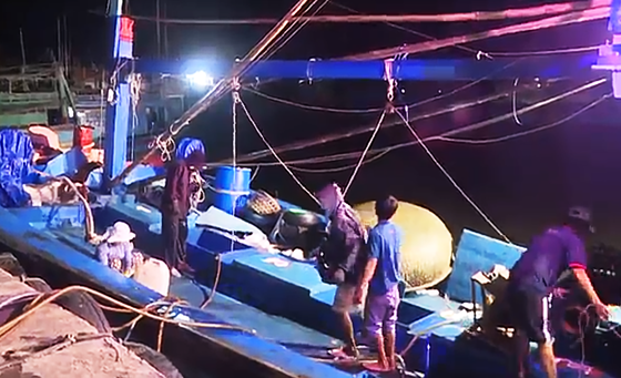 Ăn tết trên biển, một tàu cá trúng mẻ cá bò gù bán 350 triệu đồng ảnh 1