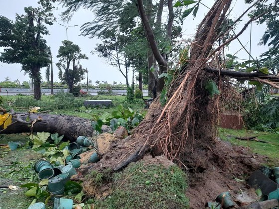 Mưa lớn, gió gào rú dữ dội tại các tỉnh miền Trung ảnh 14 Mưa lớn, gió gào rú dữ dội tại các tỉnh miền Trung ảnh 14