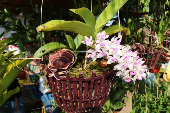 Đặc sắc Lễ Hội Cầu Huê ảnh 19
