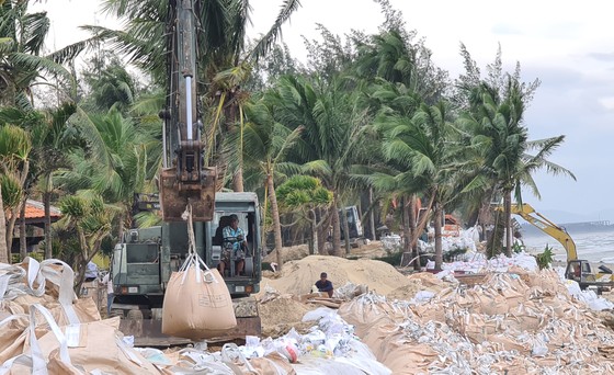 Phó Thủ tướng Trịnh Đình Dũng kiểm tra bờ biển Cửa Đại ảnh 1