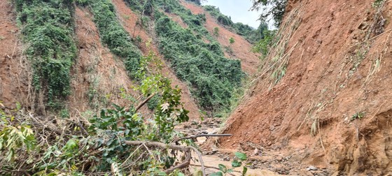 Tan hoang Phước Thành ảnh 19
