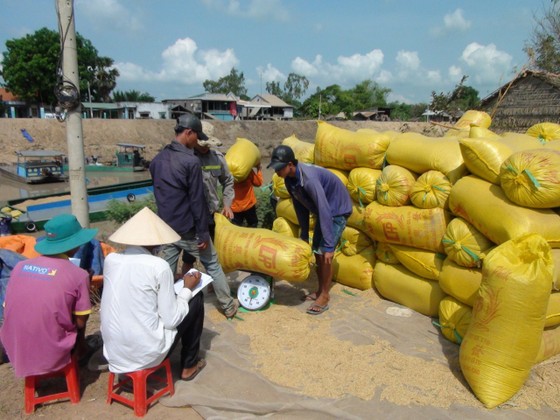 Nâng cao hiệu quả sản xuất lúa cho 8 tỉnh ĐBSCL ảnh 4 Nâng cao hiệu quả sản xuất lúa cho 8 tỉnh ĐBSCL ảnh 4