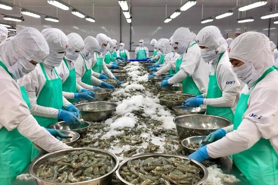 Mỹ đang là thị trường xuất khẩu thủy sản lớn nhất Việt Nam ảnh 1 Mỹ đang là thị trường xuất khẩu thủy sản lớn nhất Việt Nam ảnh 1