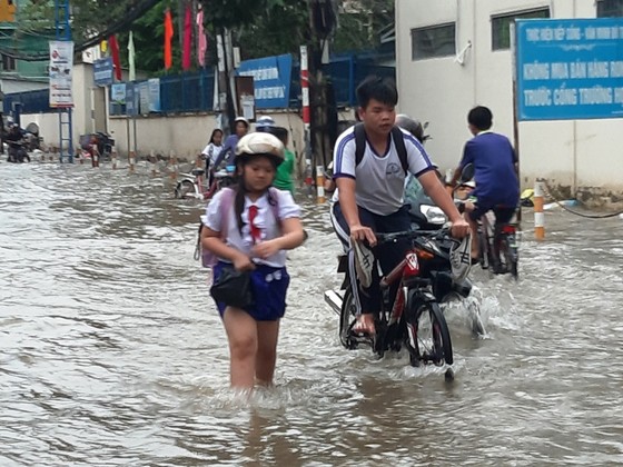 Thiên tai ở Nam bộ gây thiệt hại hơn 315 tỷ đồng ảnh 4
