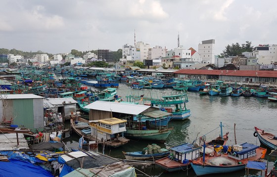 Ô nhiễm sông Dương Đông ở đảo Phú Quốc, cần ít nhất 10 năm để hồi sinh ảnh 1