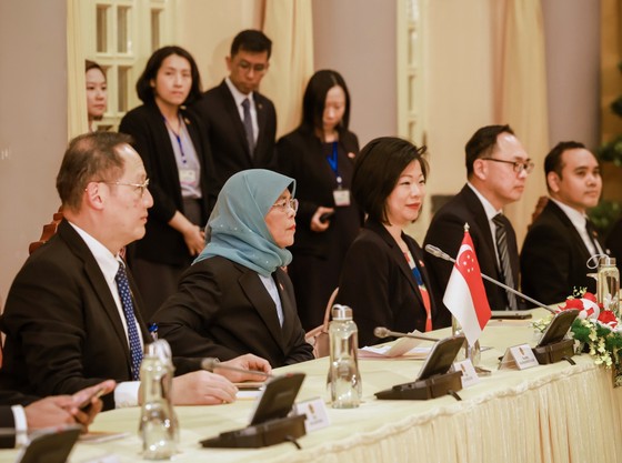 Chủ tịch nước Nguyễn Xuân Phúc chủ trì lễ đón Tổng thống Singapore Halimah Yacob ảnh 9