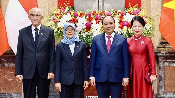Chủ tịch nước Nguyễn Xuân Phúc chủ trì lễ đón Tổng thống Singapore Halimah Yacob ảnh 5