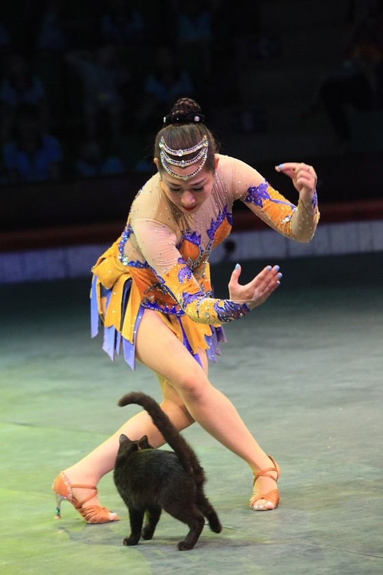 Tìm kiếm tài năng xiếc toàn quốc 2018 ảnh 2