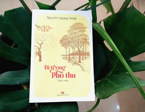 Đi trong phố thu - lạc vào hoài niệm về một Hà Nội rất gần ảnh 2