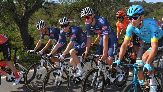 Mathieu van der Poel sẽ đua Tour de France vì… nhà tài trợ ảnh 2 Mathieu van der Poel sẽ đua Tour de France vì… nhà tài trợ ảnh 2