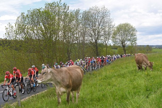 Áo vàng Brent Van Moer níu chân Chris Froome ở giải xe đạp Critérium du Dauphiné 2021 ảnh 1