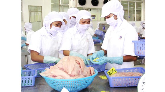 Giá cá tra giảm, thị trường biến động ảnh 1