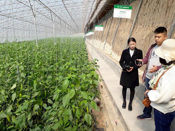 Thận trọng với tour học tập nông nghiệp nước ngoài ảnh 1 Thận trọng với tour học tập nông nghiệp nước ngoài ảnh 1