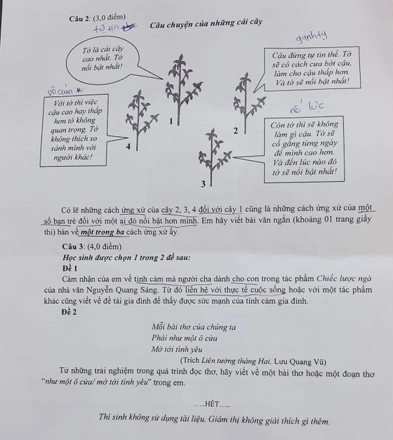 Thí sinh TPHCM phấn khởi với đề thi môn Văn vì có nội dung gần gũi ảnh 5