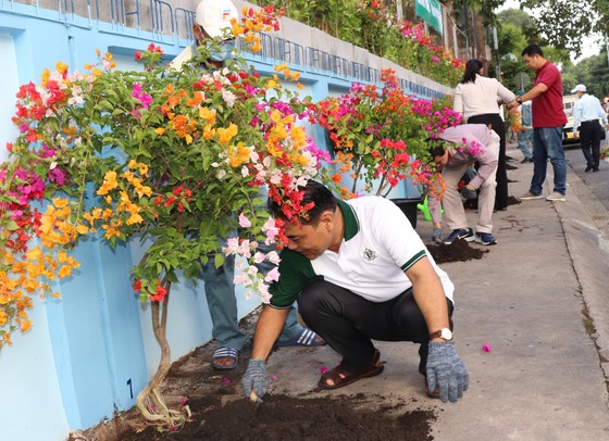 Xây dựng “Góc phố tôi yêu” trên địa bàn quận Phú Nhuận ảnh 2