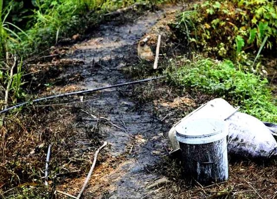 Lộ rõ nhóm người và phương tiện đổ trộm dầu thải gây ô nhiễm nguồn nước sông Đà ảnh 1