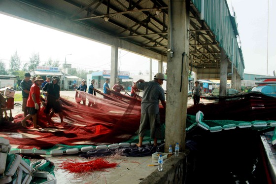 Sau bão số 6, ngư dân Quảng Ngãi tranh thủ đánh bắt ven bờ ảnh 7