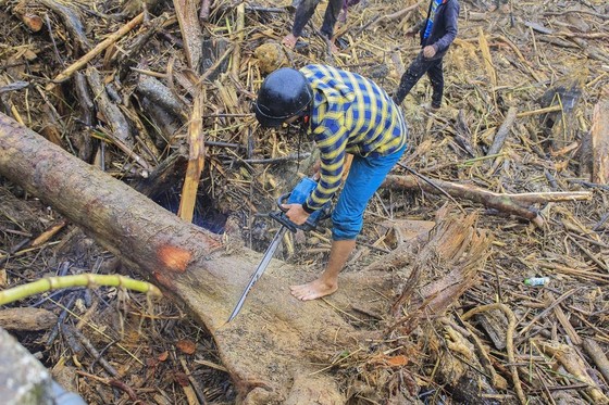 Quảng Ngãi: hàng chục khối gỗ theo lũ đổ về, người dân đổ xô đi vớt ảnh 6