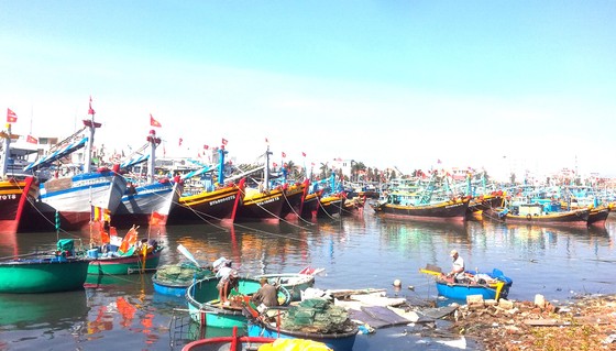 Tàu cá nằm bờ vì thiếu hụt lao động ảnh 1 Tàu cá nằm bờ vì thiếu hụt lao động ảnh 1