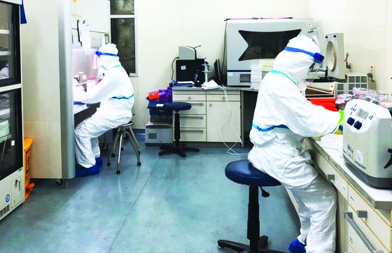 Việt Nam nuôi cấy và phân lập thành công chủng mới của virus Corona ảnh 1