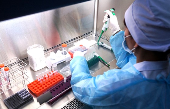 Việt Nam nuôi cấy và phân lập thành công chủng mới của virus Corona ảnh 2