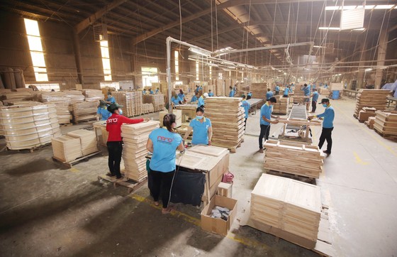 Ngành chế biến gỗ với khó khăn kép: Covid-19 và khả năng bị áp thuế chống bán phá giá ảnh 2