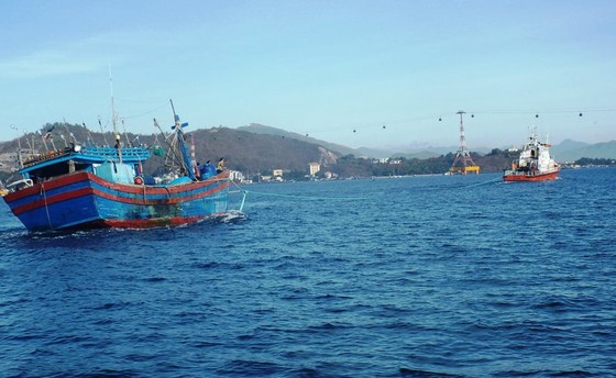 Vụ 26 ngư dân Bình Định mất tích trên biển: Đã tìm thấy vị trí nơi chìm tàu ảnh 1 Vụ 26 ngư dân Bình Định mất tích trên biển: Đã tìm thấy vị trí nơi chìm tàu ảnh 1