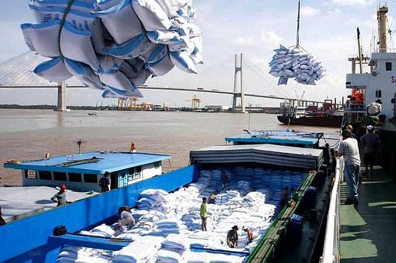 Việt Nam sẽ xuất khẩu gạo sang Hàn Quốc ảnh 1 Việt Nam sẽ xuất khẩu gạo sang Hàn Quốc ảnh 1
