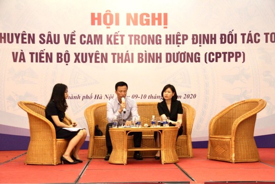 Chia sẻ kinh nghiệm cho các doanh nghiệp xuất hàng hóa vào CPTPP ảnh 2