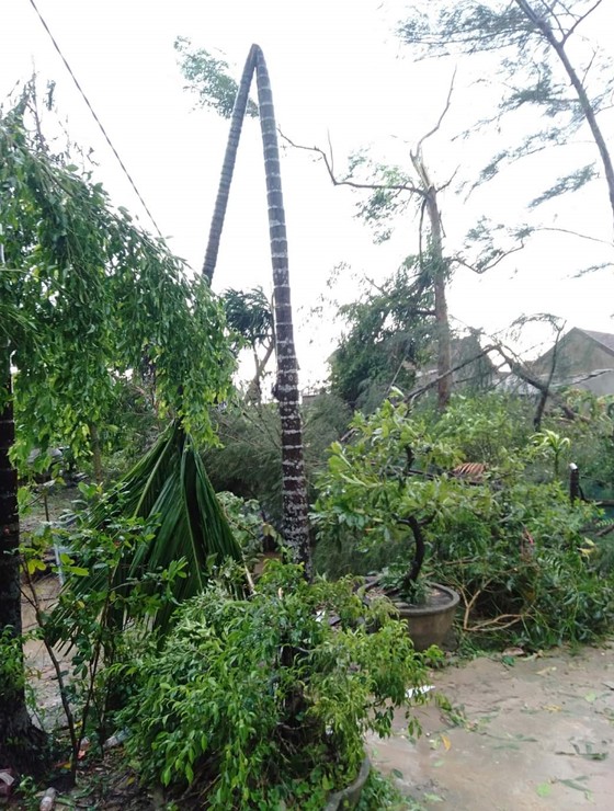 Bão số 5 gây lốc xoáy và mưa lớn nhiều nơi ảnh 28