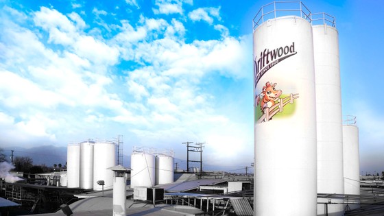 Doanh nghiệp Việt Nam “xuất ngoại” ảnh 1 Doanh nghiệp Việt Nam “xuất ngoại” ảnh 1