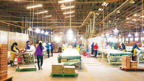 Khơi thông ngành gỗ bền vững ảnh 4 Khơi thông ngành gỗ bền vững ảnh 4