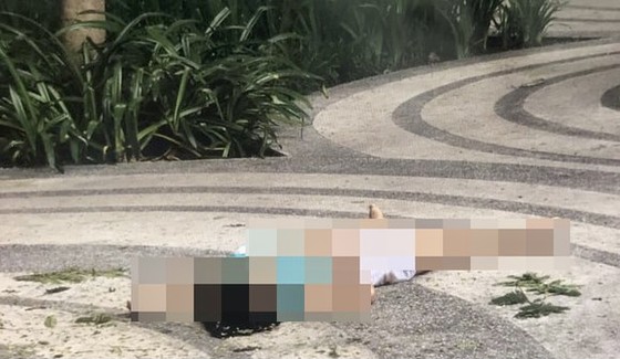 Thông tin mới vụ nữ luật sư rơi từ tầng cao tử vong ở chung cư Sunview Town ảnh 2