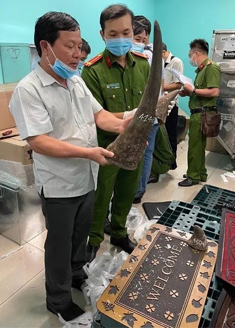 Phát hiện gần 100kg nghi sừng tê giác ở kho hàng khu vực sân bay Tân Sơn Nhất ảnh 1