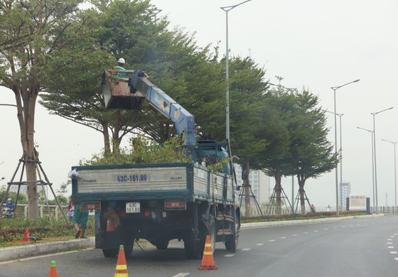 Đà Nẵng ráo riết chuẩn bị phòng bão số 5 ảnh 11 Đà Nẵng ráo riết chuẩn bị phòng bão số 5 ảnh 11