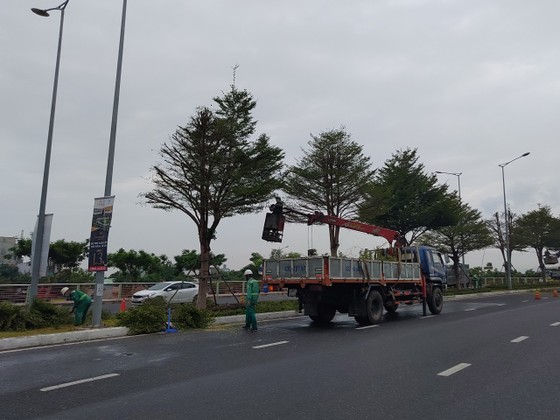 Đà Nẵng ráo riết chuẩn bị phòng bão số 5 ảnh 8 Đà Nẵng ráo riết chuẩn bị phòng bão số 5 ảnh 8